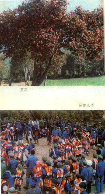 腾冲风情录.pdf电子版_云南省志插图5