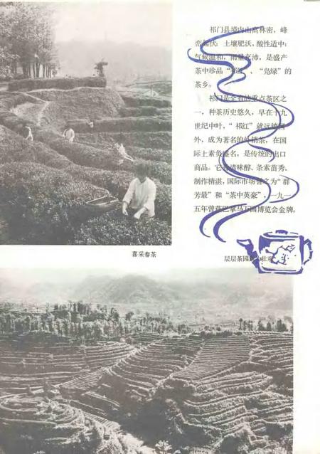 祁门风光.pdf电子版_安徽省志插图5