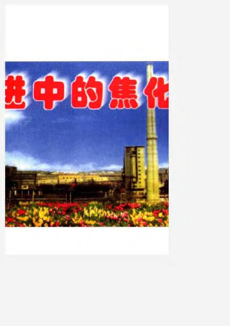 莱钢志  焦化厂志  1996-2000.pdf电子版_山东省志插图5
