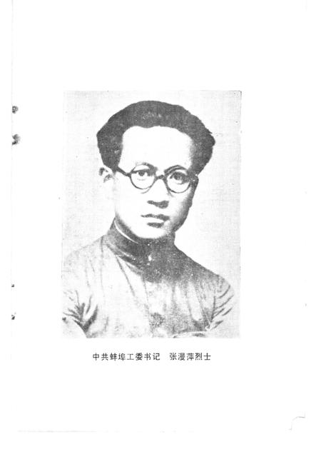 蚌埠党史资料  第4辑.pdf电子版_安徽省志插图5