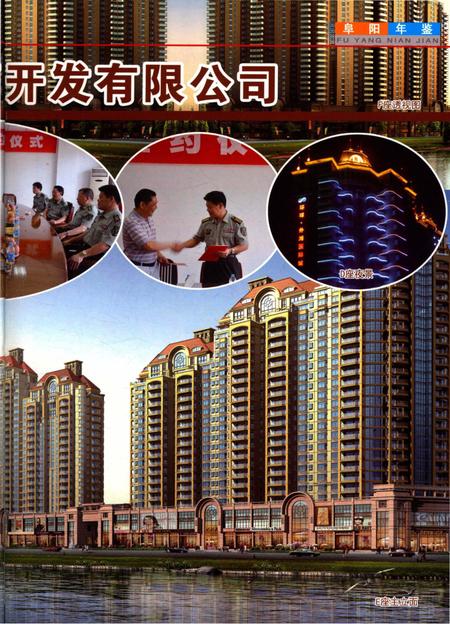 阜阳年鉴 2010.pdf电子版_安徽省志插图5