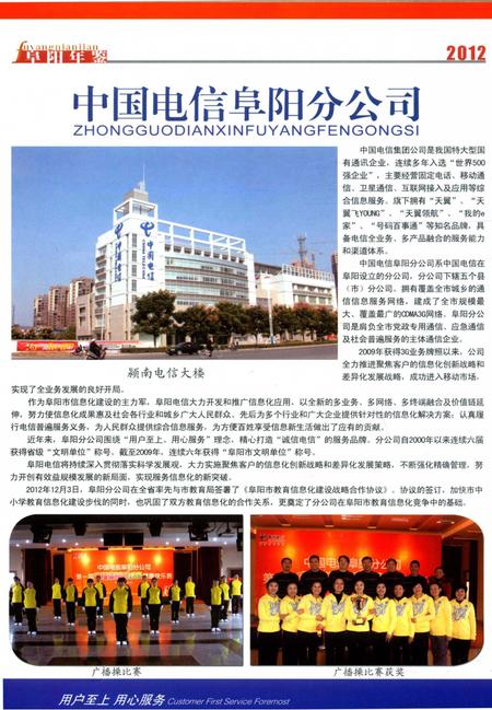 阜阳年鉴 2012.pdf电子版_安徽省志插图5