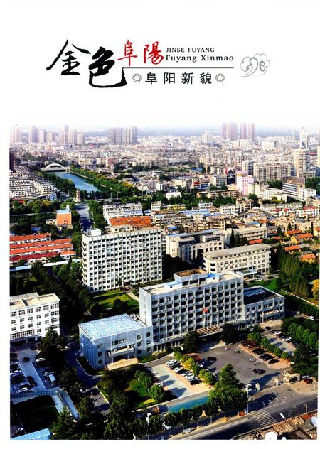 阜阳年鉴 2014.pdf电子版_安徽省志插图5