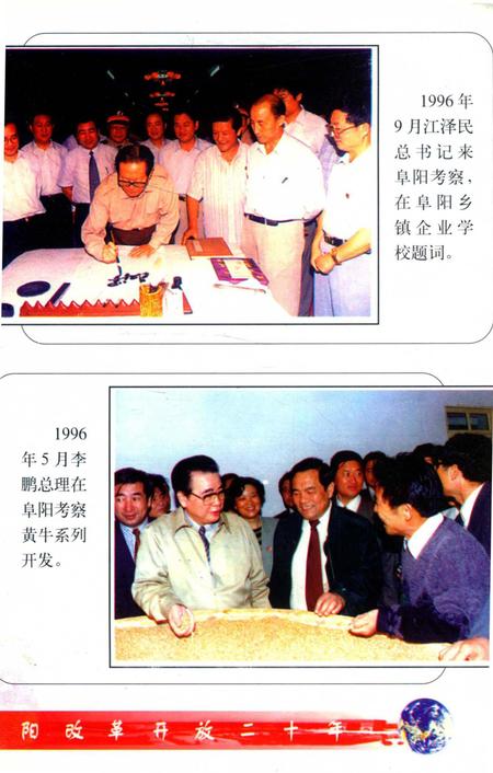 阜阳改革开放二十年.pdf电子版_安徽省志插图5