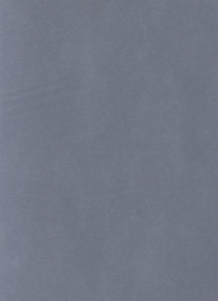 防城港公安志.pdf电子版_广西壮族自治区志插图5