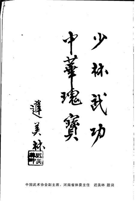 中国嵩山少林寺武术学校志.pdf电子版_河南省志插图5