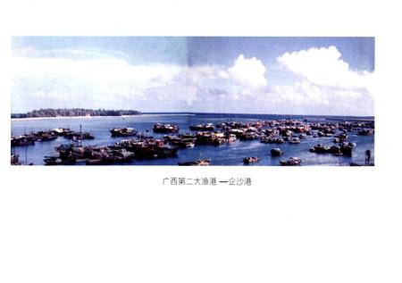 正在崛起的防城港市港口区.pdf电子版_广西壮族自治区志插图5