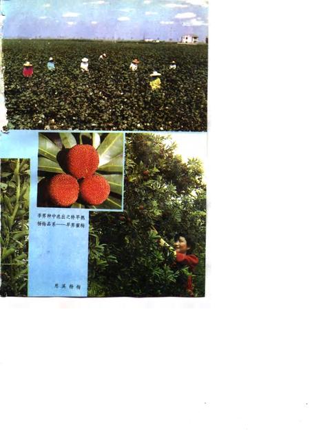 1991-慈溪农业志.pdf电子版_浙江省志插图5