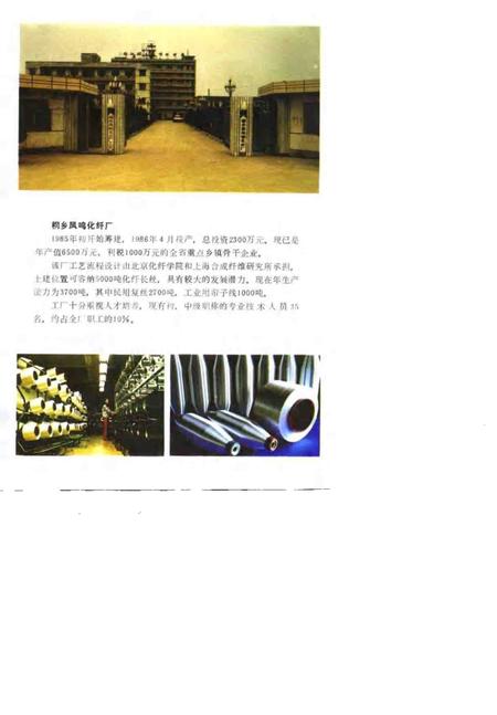 1993-改革开放在桐乡  1979-1991.pdf电子版_浙江省志插图5