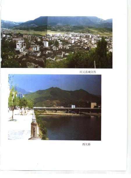 1996-庆元县志.pdf电子版_浙江省志插图5