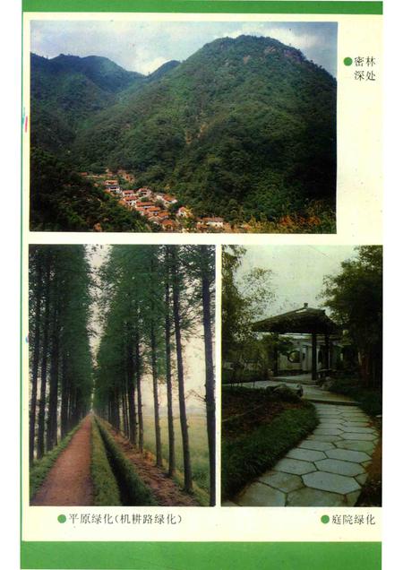 1996-湖州市志丛书  湖州市林业志.pdf电子版_浙江省志插图5