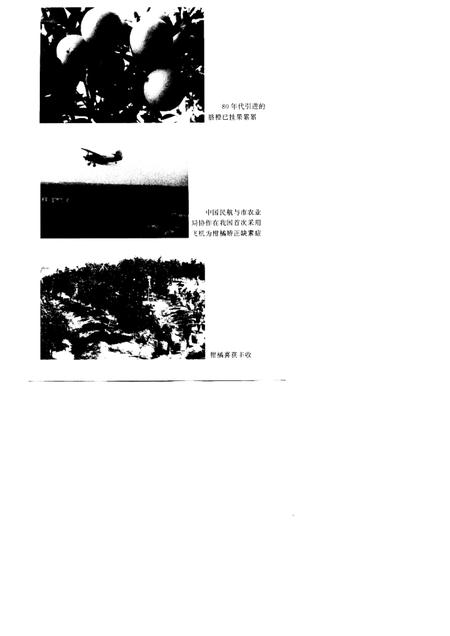 1997-衢州柑桔志.pdf电子版_浙江省志插图5
