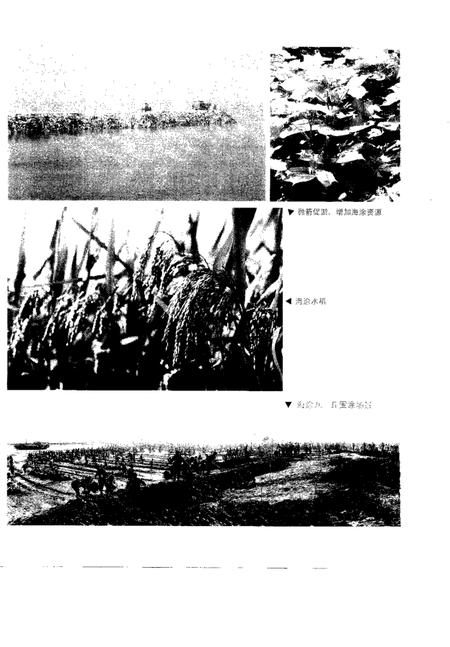 1999-上虞市土地志.pdf电子版_浙江省志插图5