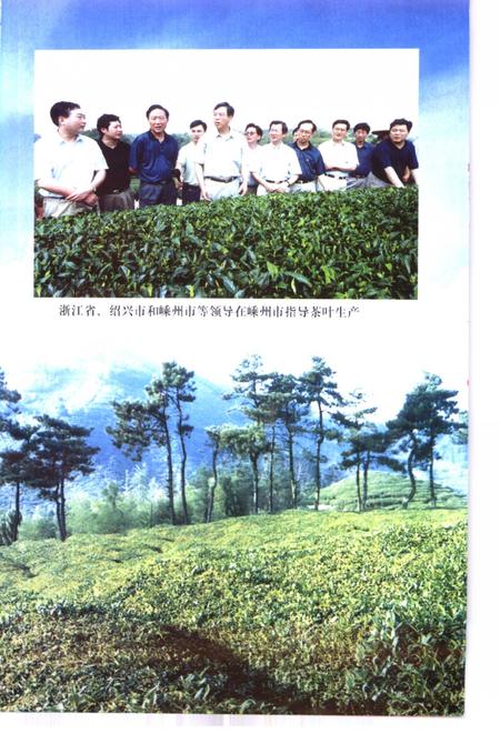 2000-嵊州文史资料  第13辑  嵊州茶叶.pdf电子版_浙江省志插图5