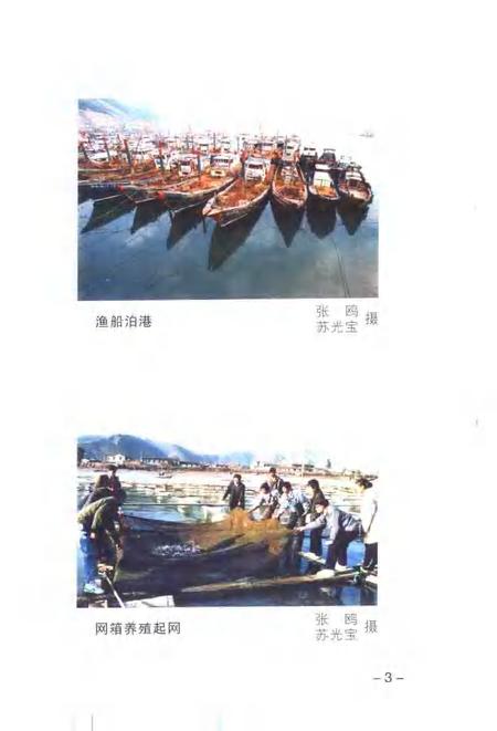 2000-玉环文史资料  第16辑  渔业专辑.pdf电子版_浙江省志插图5