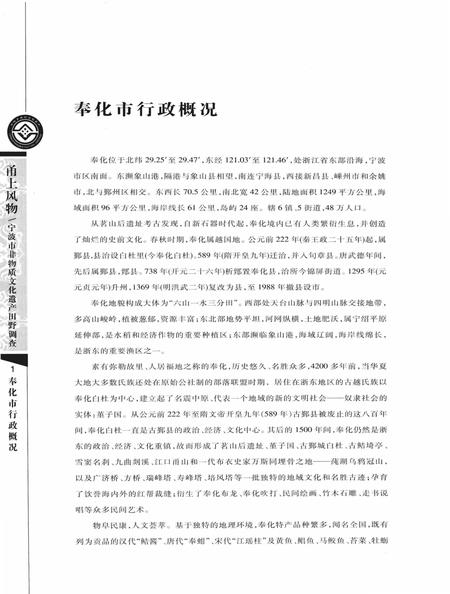 2009-甬上风物  宁波市非物质文化遗产田野调查  奉化市·岳林街道.pdf电子版_浙江省志插图5