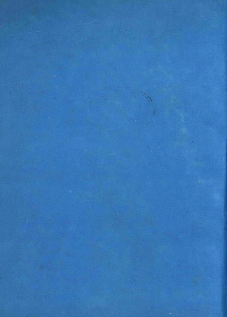 三亚大观.pdf电子版_海南省志插图5