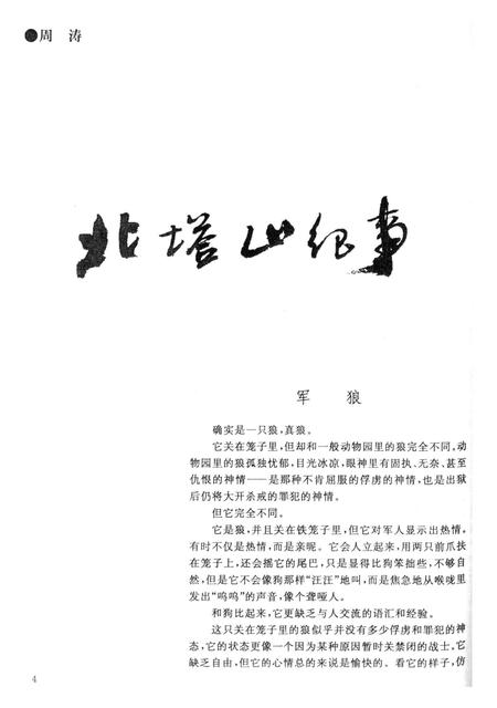 新疆绿洲1999年第04期.pdf电子版_新疆维吾尔族自治区志插图5