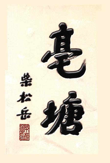 亳塘村志第一册-永康市亳塘村志编委会 编.pdf电子版_浙江省志插图5