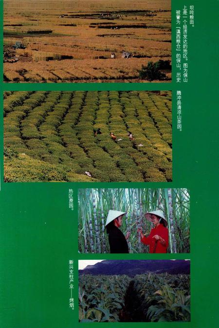 中华人民共和国地方志丛书 保山地区志 中卷.pdf电子版_河南省志插图5