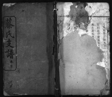 湖北蔡氏族谱-蔡氏支谱 [11卷,首3卷](别名：Cai Shi Zhi Pu、蔡氏支谱).pdf电子版