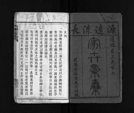 浙江何氏族谱-何氏宗谱 [不分卷].pdf电子版插图1