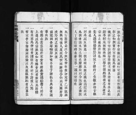 浙江何氏族谱-何氏宗谱 [不分卷].pdf电子版插图2