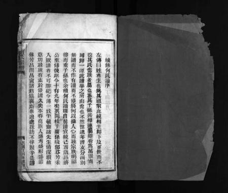 浙江何氏族谱-何氏宗谱 [不分卷].pdf电子版插图1