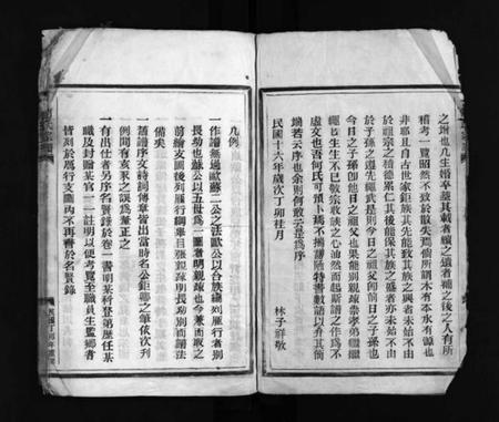 浙江何氏族谱-何氏宗谱 [不分卷].pdf电子版插图2