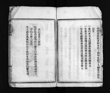 浙江何氏族谱-何氏宗谱 [不分卷].pdf电子版插图4