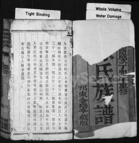 江苏陈氏族谱-陈氏族谱 [8卷](别名：维扬江都陈氏族谱).pdf电子版插图1