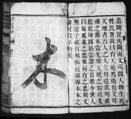 江苏陈氏族谱-陈氏族谱 [8卷](别名：维扬江都陈氏族谱).pdf电子版插图3