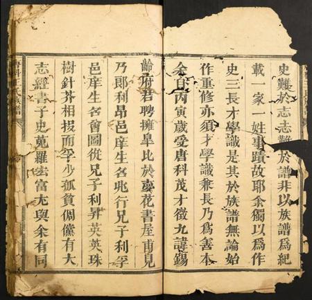 浙江王氏族谱-唐科王氏族谱.pdf电子版插图1