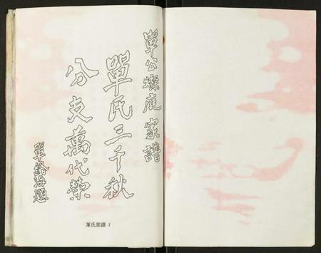 浙江单氏族谱-单氏南安堂温州市鹿城区灿庭公派家谱.pdf电子版插图1