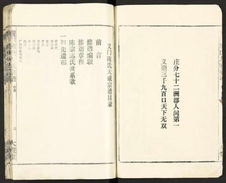 湖北陈氏族谱-义门陈氏大成宗谱 [16卷,及卷首](别名：义门陈氏宗谱、Yimen Chen Shi Da Cheng Zong Pu、义门陈氏大成宗谱).pdf电子版插图3