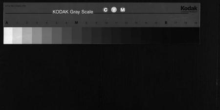 湖北陈氏族谱-义门陈氏宗谱 [10卷](别名：义门陈氏宗谱续编、Yi Men Chen Shi Zong Pu、义门陈氏宗谱).pdf电子版