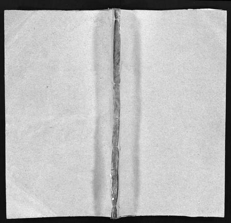 湖北陈氏族谱-义门陈氏宗谱 [10卷](别名：义门陈氏宗谱续编、Yi Men Chen Shi Zong Pu、义门陈氏宗谱).pdf电子版插图1