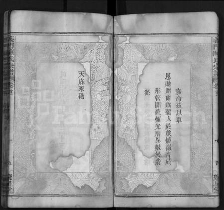 湖北陈氏族谱-义门陈氏宗谱 [12卷,首2卷](别名：Yi Men Chen Shi Zong Pu).pdf电子版插图5