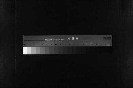 湖北陈氏族谱-义门陈氏宗谱 [12卷](别名：陈氏家乘、Yi Men Chen Shi Zong Pu、义门宗谱、义门陈氏宗谱).pdf电子版