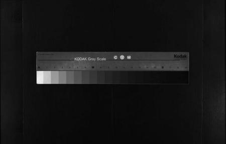 湖北陈氏族谱-义门陈氏宗谱 [27卷,首2卷](别名：Yi Men Chen Shi Zong Pu、义门陈氏宗谱).pdf电子版