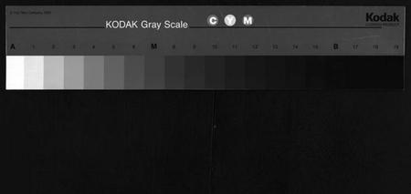 湖北陈氏族谱-义门陈氏宗谱 [5卷,首1卷,总卷1卷,世系9卷](别名：Yi Men Chen Shi Zong Pu、义门陈氏宗谱).pdf电子版
