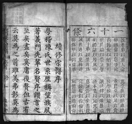 湖北陈氏族谱-义门陈氏宗谱 [5卷,首1卷,总卷1卷,世系9卷](别名：Yi Men Chen Shi Zong Pu、义门陈氏宗谱).pdf电子版插图3