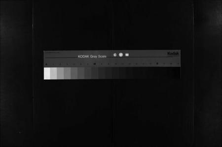 湖北陈氏族谱-义门陈氏宗谱[12卷](别名：Yi Men Chen Shi Zong Pu、义门陈氏宗谱).pdf电子版