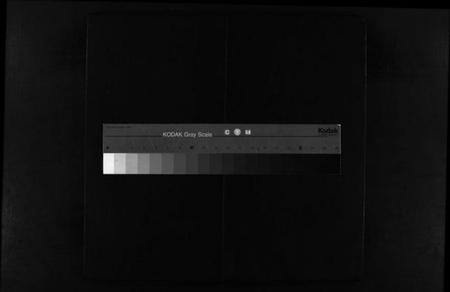 浙江郑氏族谱-壕头郑氏族谱 [残卷].pdf电子版