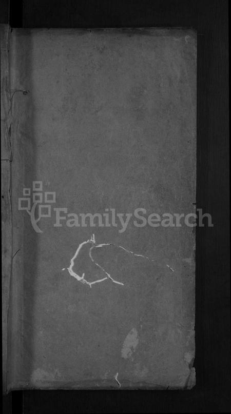 湖北陈氏族谱-义陈宗谱 [8卷,首1卷](别名：义门陈氏宗谱、义门陈氏二修支谱).pdf电子版插图1