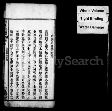 湖北陈氏族谱-陈氏宗谱 [10卷,首3卷](别名：江州义门陈氏宗谱).pdf电子版插图3