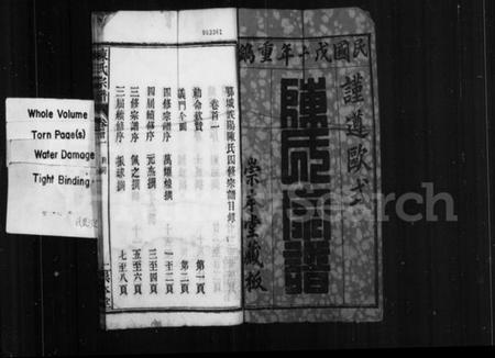 湖北陈氏族谱-陈氏宗谱 [17卷,首2卷](别名：鄂城义阳陈氏四修宗谱).pdf电子版插图2