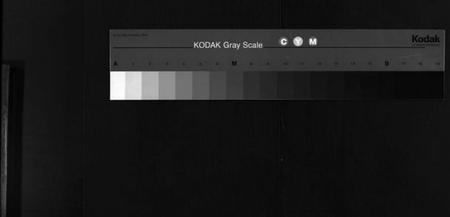 湖北陈氏族谱-陈氏宗谱 [3卷,首1卷,东西分卷](别名：Chen Shi Zong Pu、陈氏东西两分合修宗谱、陈氏宗谱).pdf电子版