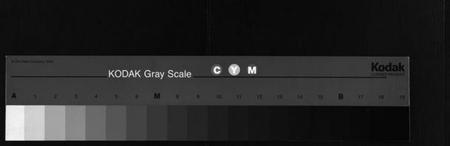湖北陈氏族谱-陈氏宗谱 [51卷](别名：义陈宗谱、陈氏宗谱、Chen Shi Zong Pu).pdf电子版
