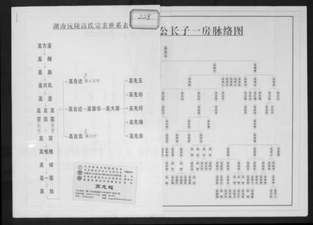 湖南高氏族谱-湖南沅陵高氏宗亲世系表.pdf电子版